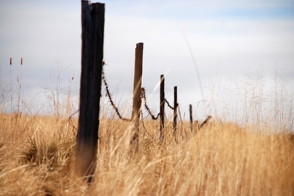 Dicriminatie en racisme liggen kort bij elkaar