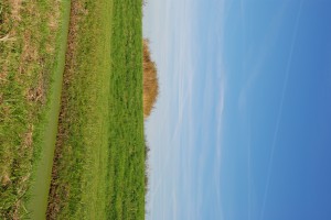 DSC_0058